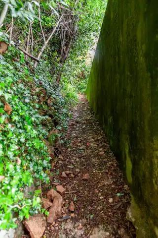 Rifugio Sul Lago Di Lugano A Porto Ceresio Zewnętrze zdjęcie